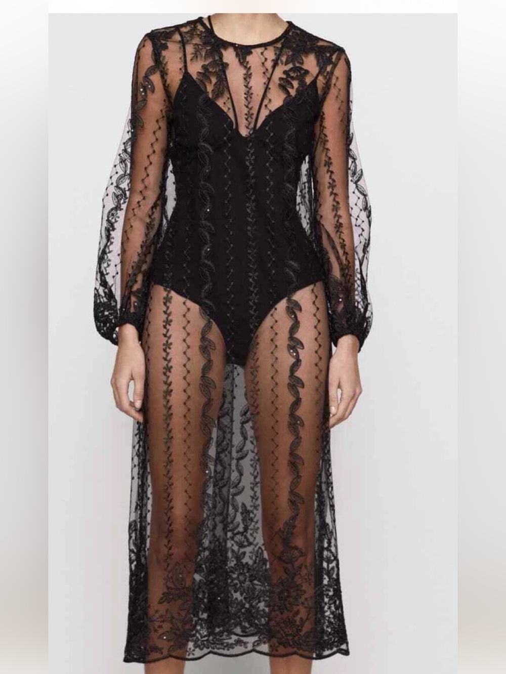 Zara Embroidered Semi-Sheer Tulle Dress Gothic Black Sz Xs NWT - Picture 1 of 14